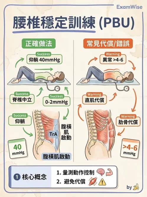 物治 - 腰椎穩定訓練與治療原則 - AI 圖文解析預覽