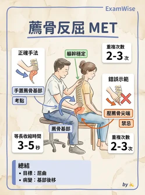物治 - 薦髂關節評估與治療 - AI 圖文解析預覽