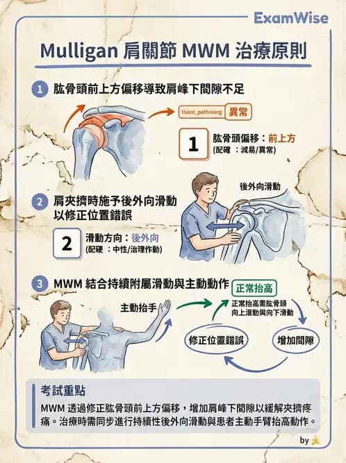 物治 - 肩關節夾擠與旋轉肌袖 - AI 圖文解析預覽