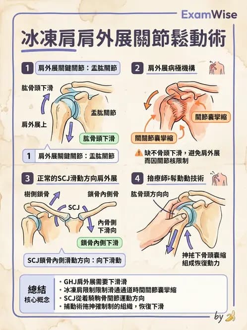 物治 - 冰凍肩與胸廓出口症候群 - AI 圖文解析預覽