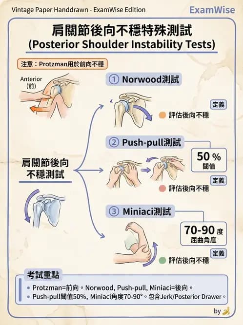 物治 - 肩關節不穩定與盂唇損傷 - AI 圖文解析預覽