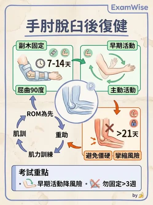 物治 - 肘及前臂關節 - AI 圖文解析預覽