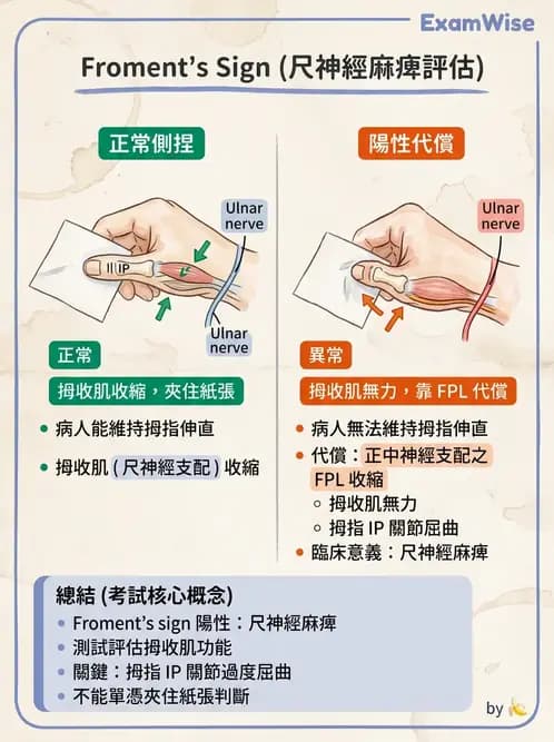物治 - 手部肌腱損傷與變形 - AI 圖文解析預覽