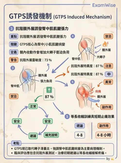 物治 - 髖關節病變與手術復健 - AI 圖文解析預覽