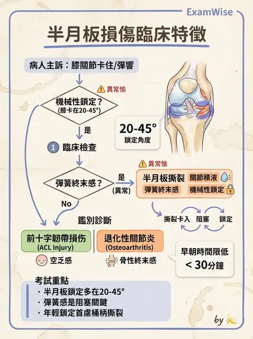 物治 - 膝關節韌帶與半月板損傷 - AI 圖文解析預覽