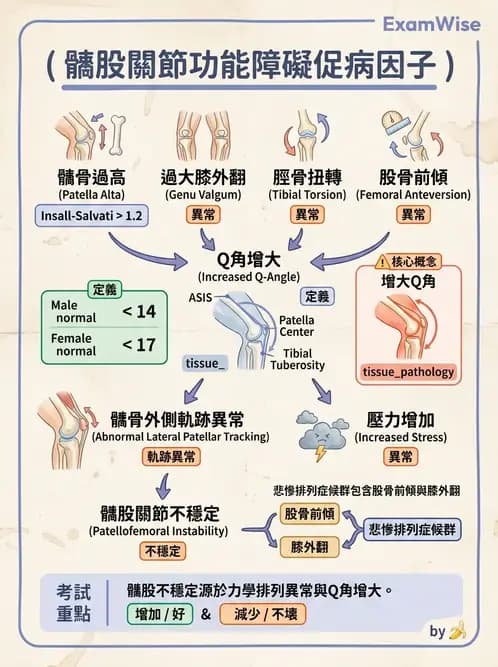 物治 - 髕股關節疼痛與伸展機制 - AI 圖文解析預覽