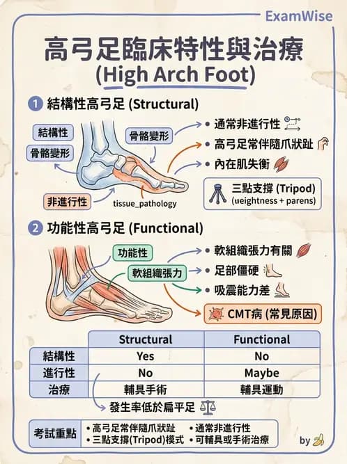 物治 - 足部病變與輔具評估 - AI 圖文解析預覽