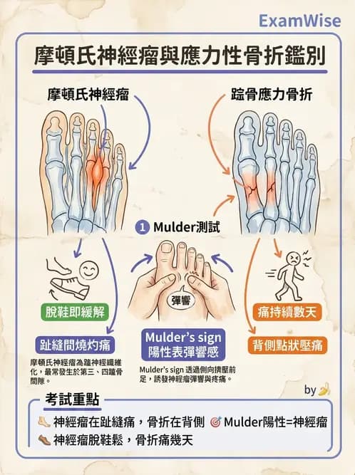 物治 - 足部病變與輔具評估 - AI 圖文解析預覽
