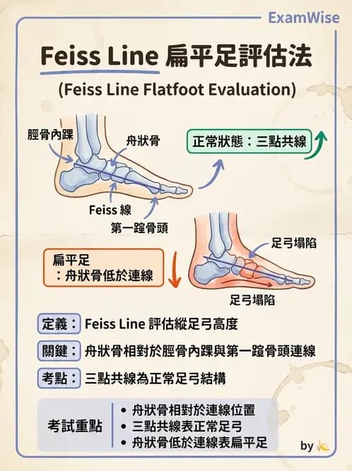物治 - 足部病變與輔具評估 - AI 圖文解析預覽