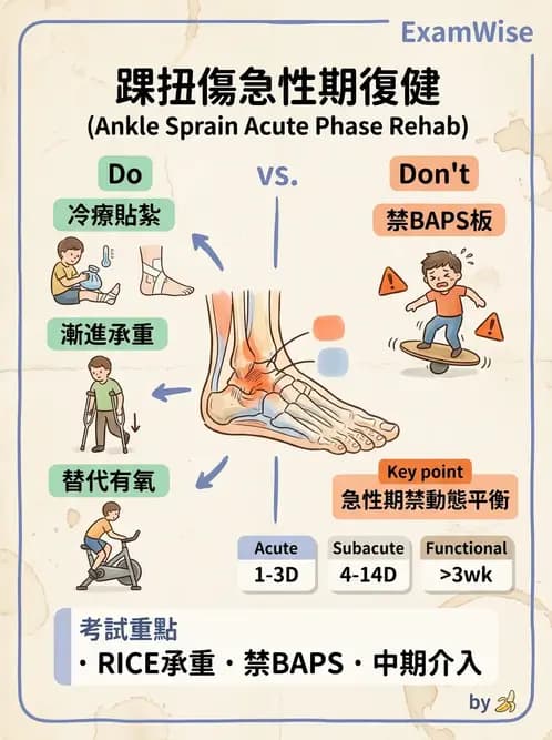 物治 - 踝關節損傷與復健 - AI 圖文解析預覽