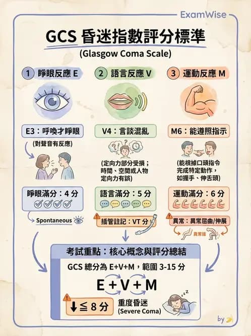 護理師 - 顱內壓升高與頭部外傷 - AI 圖文解析預覽