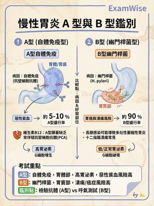 護理師 - 上消化道疾病 - AI 圖文解析預覽