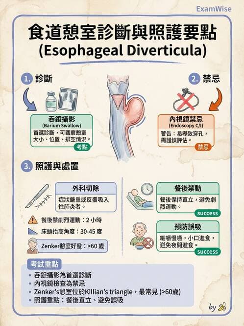 護理師 - 上消化道疾病 - AI 圖文解析預覽