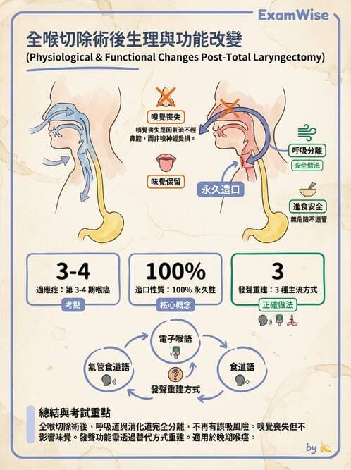 護理師 - 其他常見癌症護理 - AI 圖文解析預覽