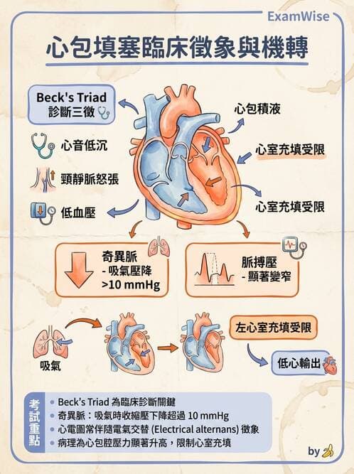 護理師 - 心臟瓣膜病與發炎性心臟病 - AI 圖文解析預覽