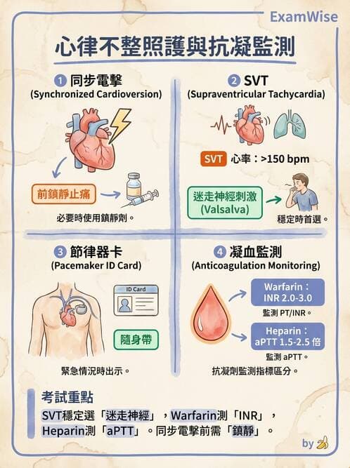 護理師 - 心臟衰竭與心律不整 - AI 圖文解析預覽