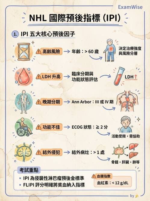 護理師 - 血液腫瘤疾病 - AI 圖文解析預覽