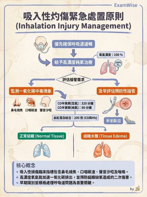 護理師 - 燒傷護理 - AI 圖文解析預覽