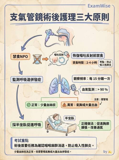 護理師 - 呼吸衰竭與胸腔護理 - AI 圖文解析預覽
