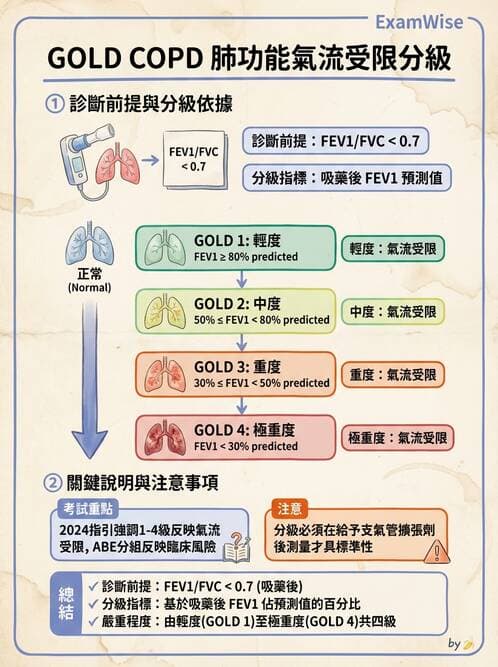 護理師 - COPD與氣喘 - AI 圖文解析預覽