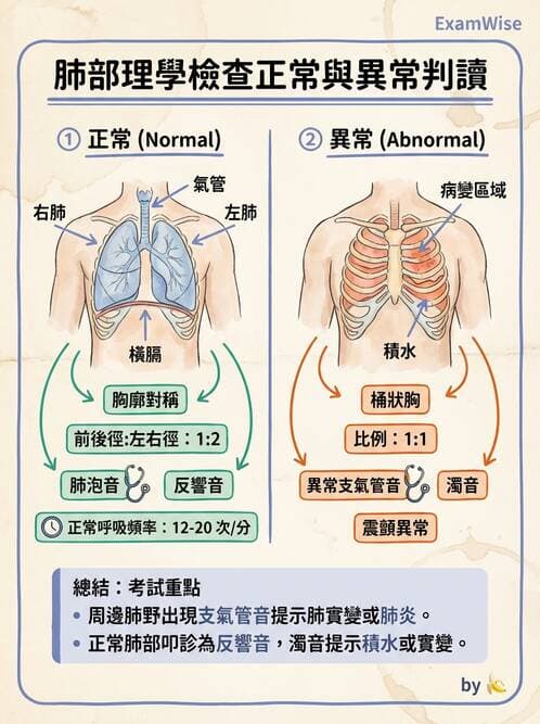 護理師 - 呼吸衰竭與胸腔護理 - AI 圖文解析預覽
