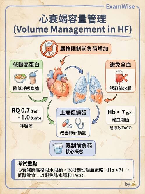護理師 - 呼吸衰竭與胸腔護理 - AI 圖文解析預覽