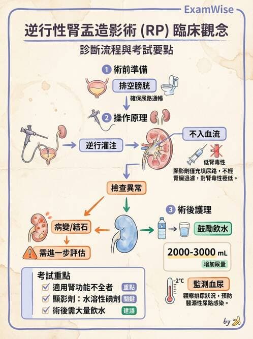 護理師 - 泌尿道疾病與排尿障礙 - AI 圖文解析預覽