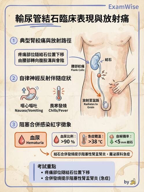 護理師 - 泌尿道疾病與排尿障礙 - AI 圖文解析預覽