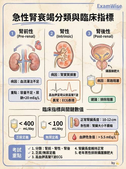 護理師 - 腎炎、腎衰竭與慢性腎臟病 - AI 圖文解析預覽