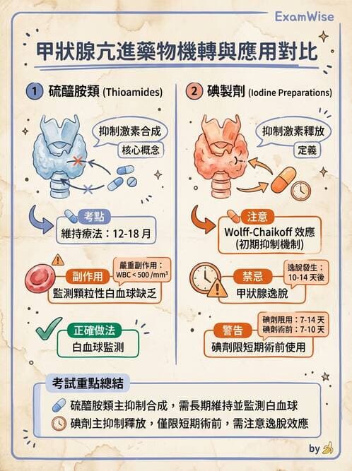 護理師 - 甲狀腺與副甲狀腺疾病 - AI 圖文解析預覽