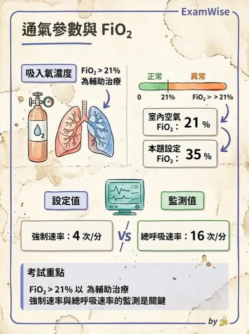 物治 - 胸腔手術、肺移植與呼吸器 - AI 圖文解析預覽