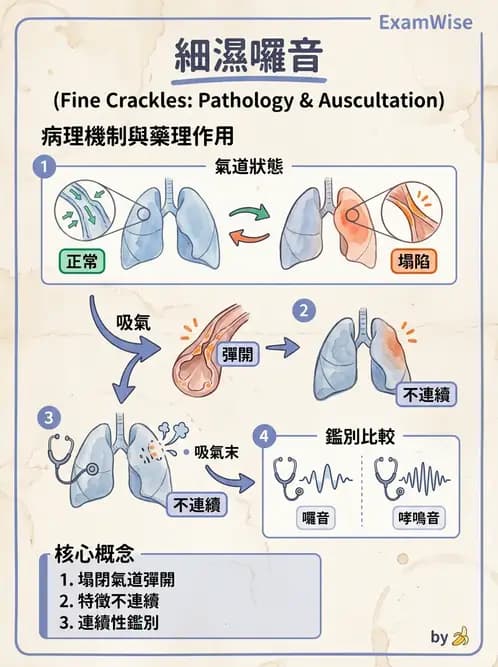 物治 - 呼吸臨床評估技術 - AI 圖文解析預覽