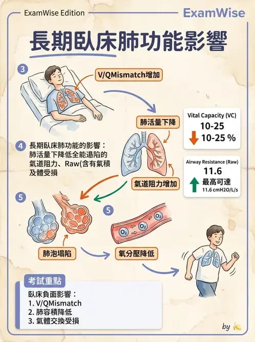 物治 - 阻塞性肺疾病物理治療 - AI 圖文解析預覽