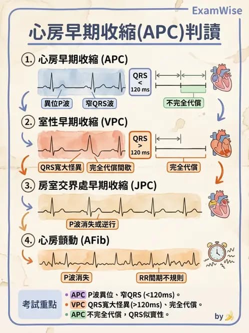 物治 - 心電圖判讀 - AI 圖文解析預覽