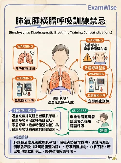 物治 - 氣道廓清與呼吸訓練技術 - AI 圖文解析預覽