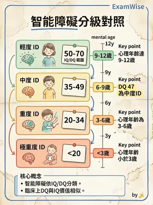 物治 - 智能障礙與基因症候群 - AI 圖文解析預覽