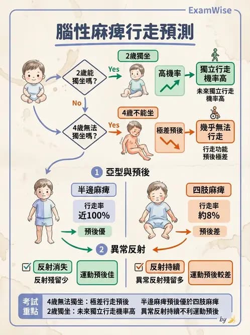 物治 - 腦性麻痺分類、評估與步態 - AI 圖文解析預覽