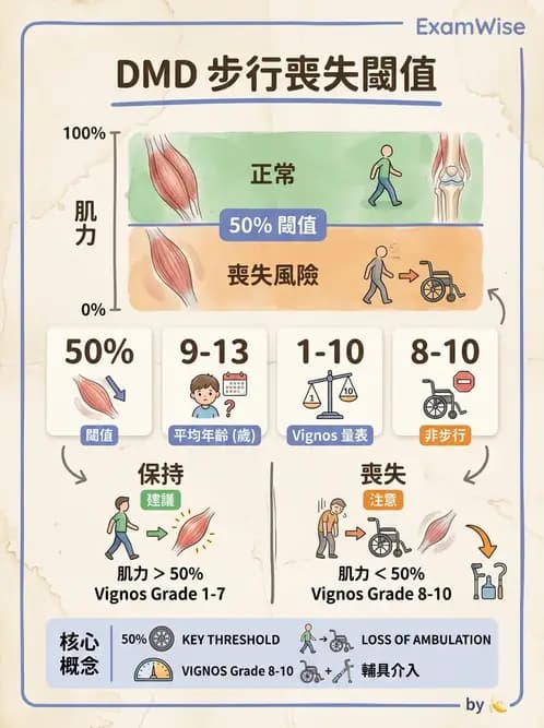 物治 - 脊柱裂、神經肌肉疾病與腦傷 - AI 圖文解析預覽