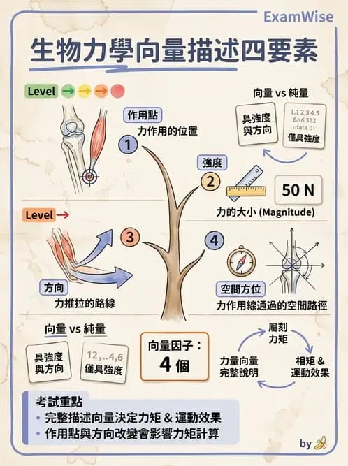 物治 - 關節運動學與生物力學計算 - AI 圖文解析預覽