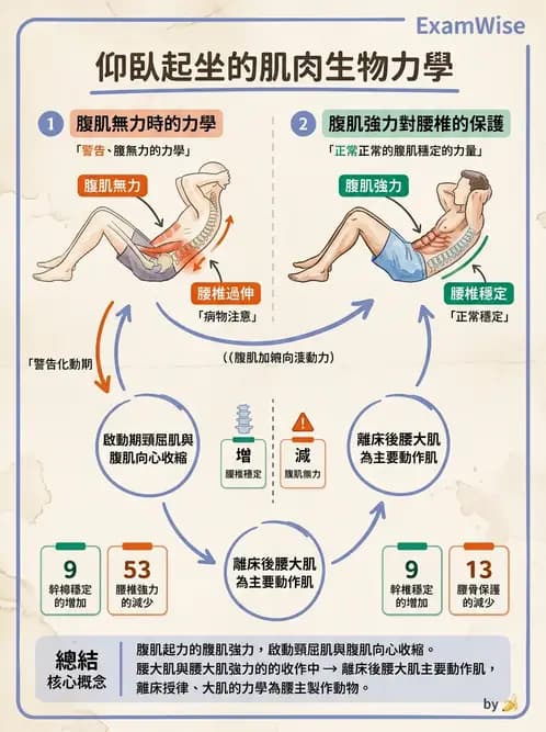 物治 - 軀幹肌動學與生物力學 - AI 圖文解析預覽