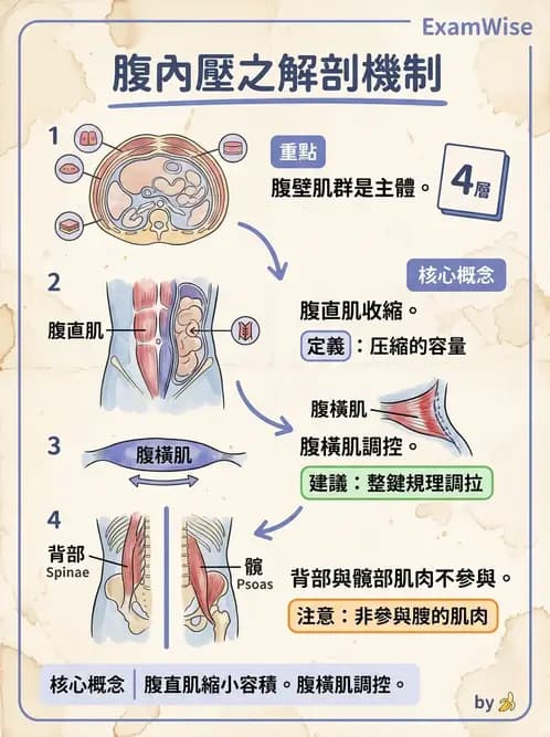 物治 - 軀幹肌動學與生物力學 - AI 圖文解析預覽