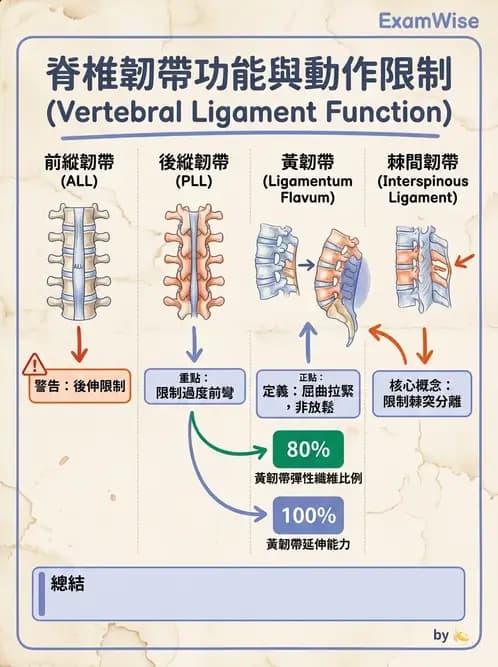 物治 - 軀幹肌動學與生物力學 - AI 圖文解析預覽
