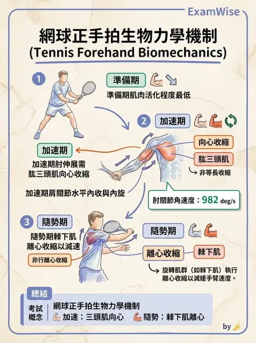 物治 - 競技運動與肌力訓練動作分析 - AI 圖文解析預覽