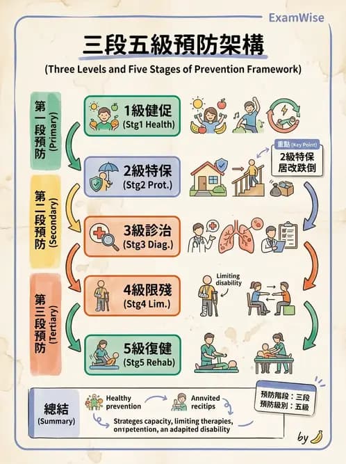 物治 - 健康政策與衛生行政 - AI 圖文解析預覽