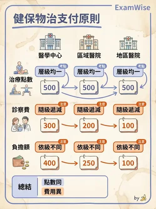 物治 - 全民健保制度 - AI 圖文解析預覽
