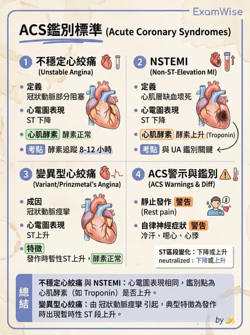 物治 - 心肺系統疾病 - AI 圖文解析預覽