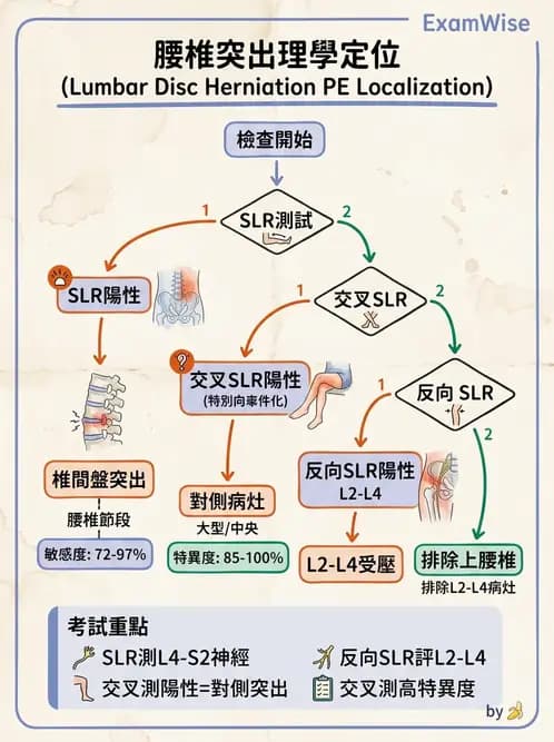 物治 - 骨科與外科疾病 - AI 圖文解析預覽