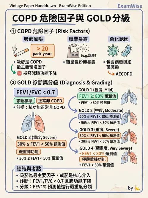 物治 - 心肺系統疾病 - AI 圖文解析預覽