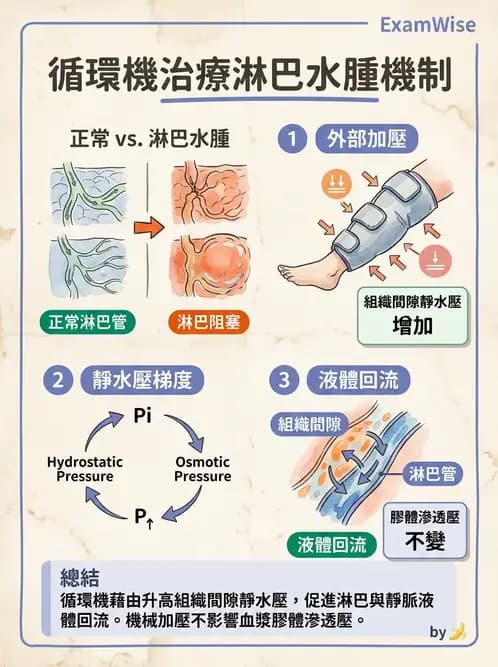 物治 - 力學因子 - AI 圖文解析預覽