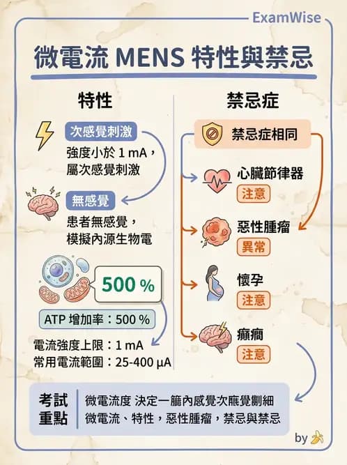 物治 - 經皮電刺激與電療基礎 - AI 圖文解析預覽